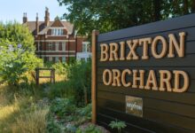 Brixton Orchard