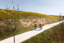Cycle Through Portugal top Bike Rental Spots and Scenic Routes