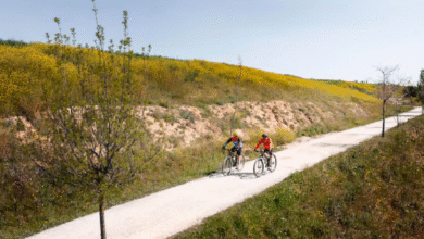 Cycle Through Portugal top Bike Rental Spots and Scenic Routes