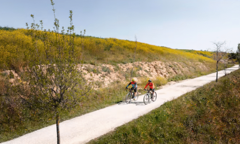 Cycle Through Portugal top Bike Rental Spots and Scenic Routes